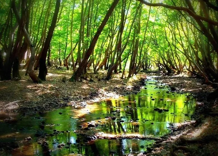 Hotel Themisto Nikolaíika